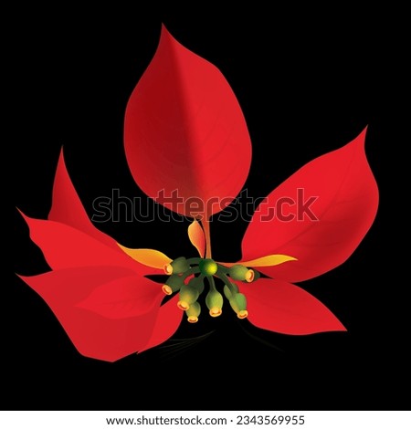red delicate flower vector illustration