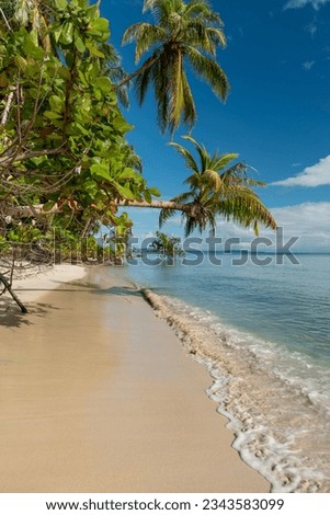 Small island in the Caribbean, Zapatilla key, Bocas del Toro, panama, Central America - stock photo Royalty-Free Stock Photo #2343583099