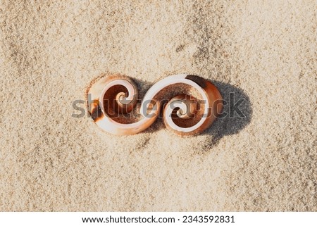 Symbol infinity of shells on the beach, the element of graphic design