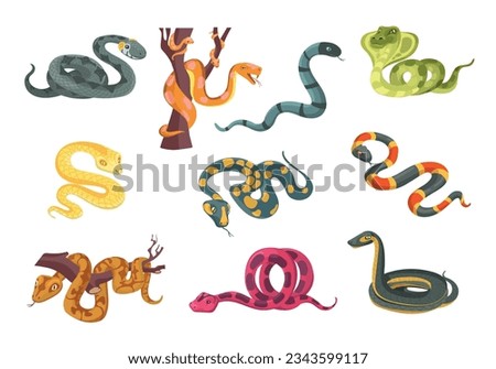 Colorful poisonous snakes. Cartoon suffocating reptiles. Creeping animals. Danger wildlife. Cobra and python. Venomous viper. Terrarium serpents. Predator on branch