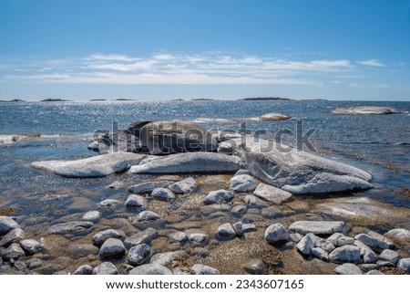 Rocky view of Tulliniemi in spring, Hanko, Finland Royalty-Free Stock Photo #2343607165