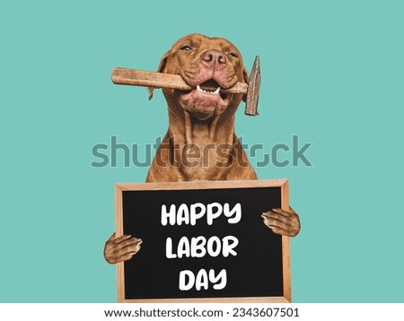 Happy Labor Day. Cute brown dog and a board with a congratulatory inscription. Close-up, indoors. Studio photo. Congratulations for relatives, loved ones, friends and colleagues. Pets care concept