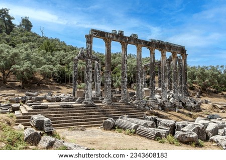 Zeus temple ruins in Euromos city, Milas, Muğla, Turkey. Royalty-Free Stock Photo #2343608183