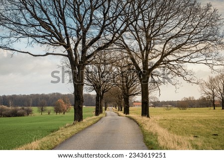 Straight one lane road through countryside. Driving though a grove in german countryside Royalty-Free Stock Photo #2343619251