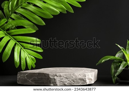 Empty Black Stone Platform with Lush Plants on Dark Background