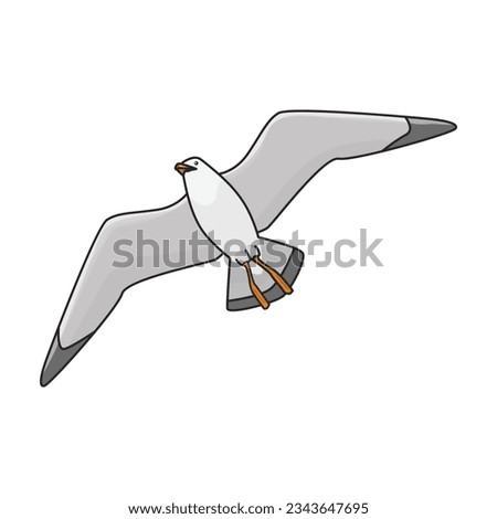 Bird gull vector icon.Color vector icon isolated on white background bird gull.