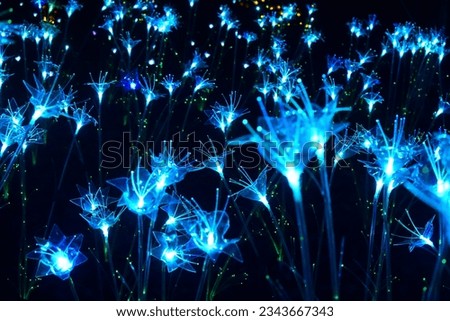 Blue illuminated flowers in a dark forest Royalty-Free Stock Photo #2343667343