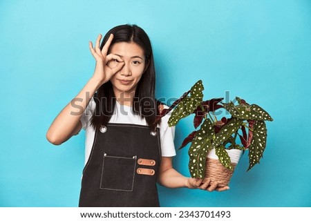 Young Asian gardener holding plant, studio backdrop, excited keeping ok gesture on eye.