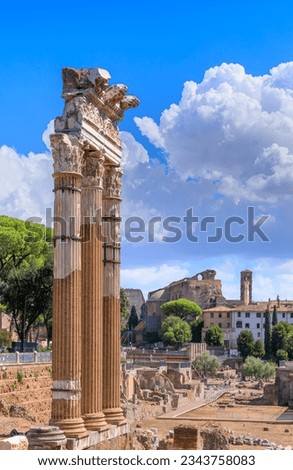 Temple of Venus Genetrix  in the Forum of Caesar, Rome.