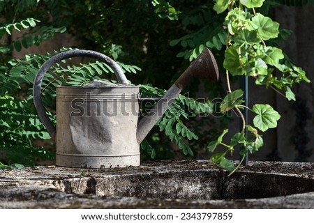 Old galvanized metal watering can on a well with green foliage in the background in summer Royalty-Free Stock Photo #2343797859
