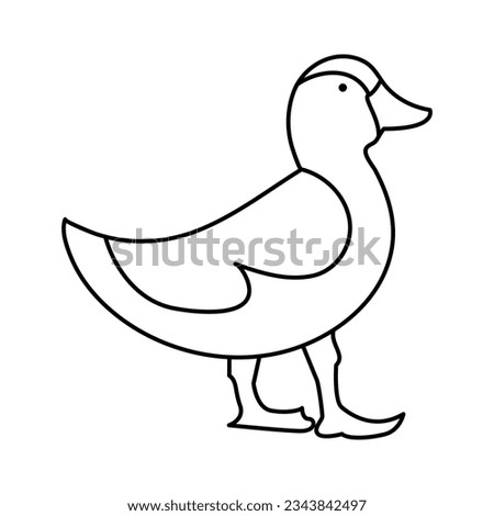 continuous single line drawing of duck water bird vector art illustration