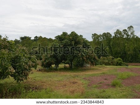 Landscape Nature of the fields, mountains, orchards with rainy season in Pong and Joon Distric of Phayao Province Northern Of Thailand July 2023