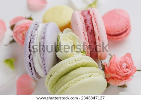 Top view Set Beautiful colorful French macaroons and flowers. Spring Flat lay white background. Royalty-Free Stock Photo #2343847127