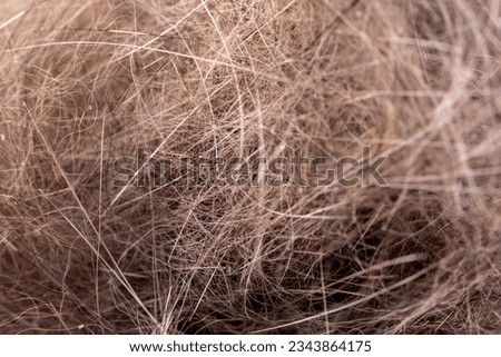 Closeup of cat fur, pet hair, fur