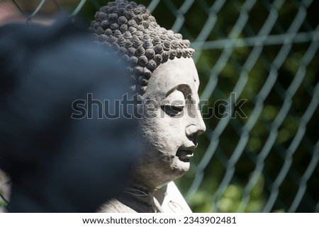 a statue of buddha, founder of the religion of buddhism Royalty-Free Stock Photo #2343902481