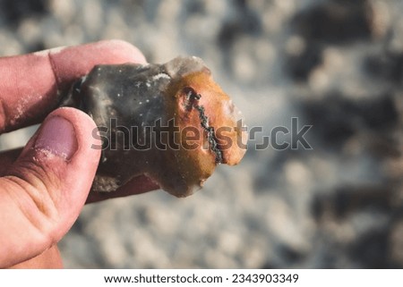 A multi-colored mineral in the Kazakh steppe at the site of the former ocean floor, an unusual stone in macro Royalty-Free Stock Photo #2343903349
