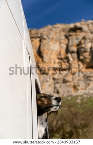 Brown dog looking out of a window of a camper van with a rock landscape on the background