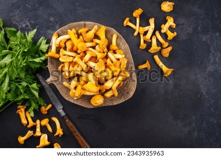 Freshly picked up and cleaned chanterelles offered with parsley as top view on a rustic wooden board 