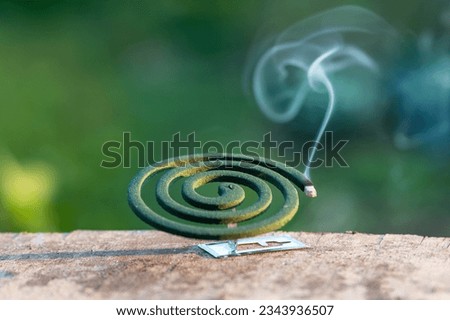 Smouldering repellent spiral from mosquitoes, protection against insects. Royalty-Free Stock Photo #2343936507