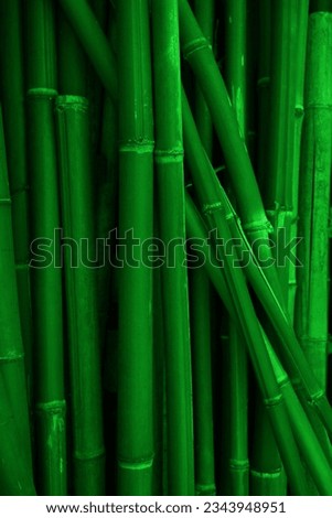 Green bamboo fence texture, bamboo background. bamboo forest pattern. Green bamboo fence backdrop and pattern.          Royalty-Free Stock Photo #2343948951