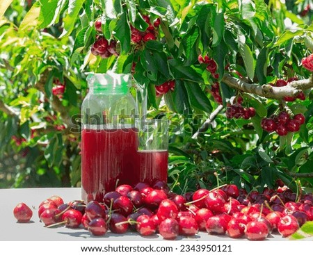 Closeup of pile of fresh ripe sweet cherries and glass jug with juice on table under tree branches in summer garden. Natural product