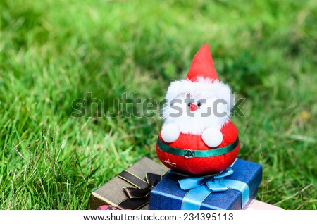 Santa doll with christmas decoration on green grass outdoor.