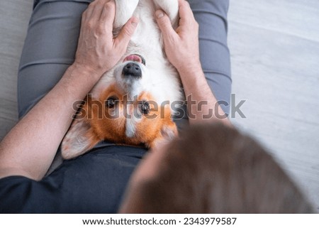 Portrait of funny corgi dog on owner lap, top view with upside down head, smiling muzzle with tongue hanging out. Happy family with pet is resting on floor, hugs. Puppy lies on legs, hands stroke wool