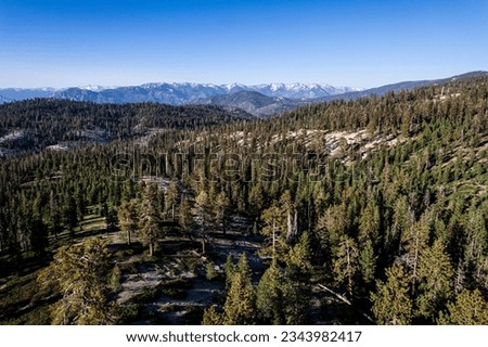 Weaver Lake Trail as seen from approximately 100 feet above ground level. Sequoia National Forest.