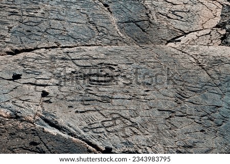 Ancient Native Hawaiian Rock Carvings Etched In Stone at Puako Petroglyph Archaeological Preserve, Hawaii Island, Hawaii, USA Royalty-Free Stock Photo #2343983795