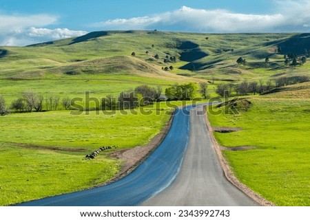 A long way down the road going to Custer State Park, South Dakota Royalty-Free Stock Photo #2343992743