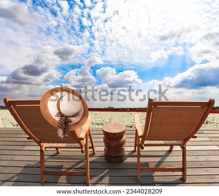 Comfortable sun loungers on a wooden platform. Delightful field of white bright spring buttercupsranunculus. Cloudy spring day. Israel. 