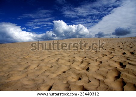 Desert and blue sky. the picture is from Raabjerg Mile, a small sandy desert in Denmark.