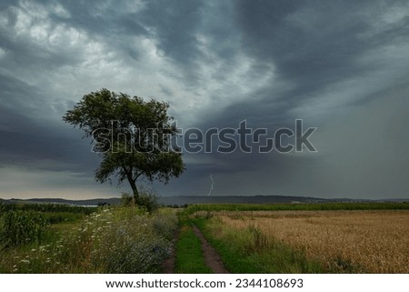 Dramatic landscape image of a tree with lightning storm in the background