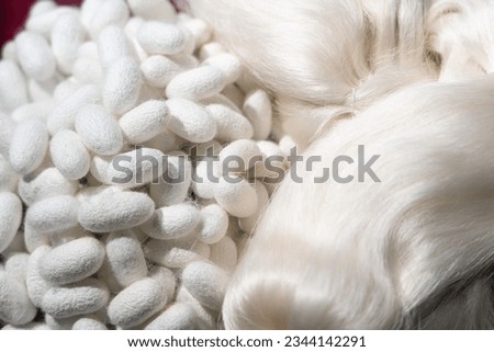 close up ofwhite silkworm cocoons with silk thread background.