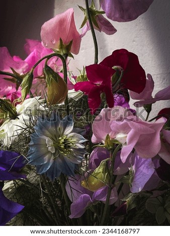 Flowers Still life. Beautiful colorful flowers on moody background. Stylish artistic composition of soft lathyrus, love in the mist, rose. Amazing floral vertical wallpaper