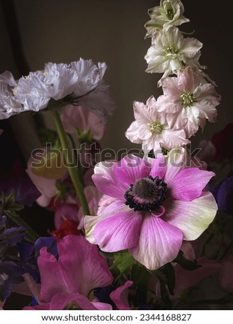 Flowers Still life. Beautiful colorful flowers close up on moody background. Stylish artistic composition of lathyrus, anemone, ranunculus, delphinium. Floral vertical wallpaper