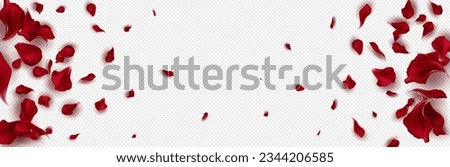 Red rose petals on a transparent background. Isolated special effect. Vector illustration in eps format.