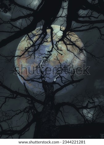 Artistic image of the full moon against the background of the sky and the crowns of old trees, the image in blue color