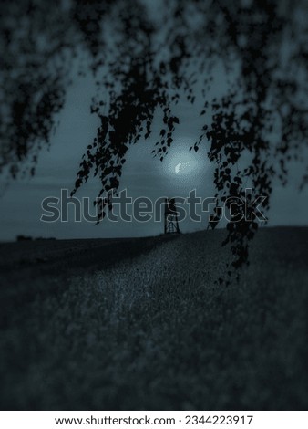 Image of a rural landscape captured at night by moonlight, field with grain