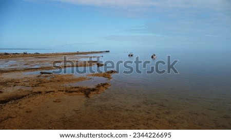 Aerial view of Gladstone Pier, Shark Bay, Western Australia