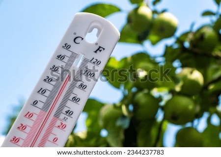 Thermometer on the background of green apple. Summer heat or global warming climate change concept Royalty-Free Stock Photo #2344237783