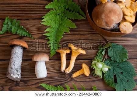 collection of mushrooms on a wooden board for educational books and manuals. various mushrooms, layout, banner, postcard
