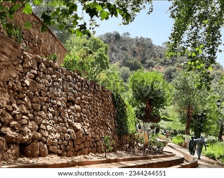 A picture has been taken shows a lanscape with an old wall , trees and moutain 