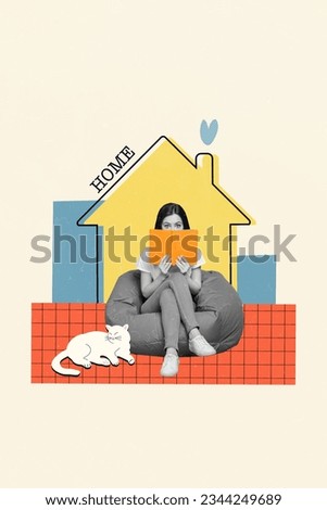 Vertical collage picture of black white colors impressed girl sit beanbag hold book cover hide face painted cat sleeping drawing home building