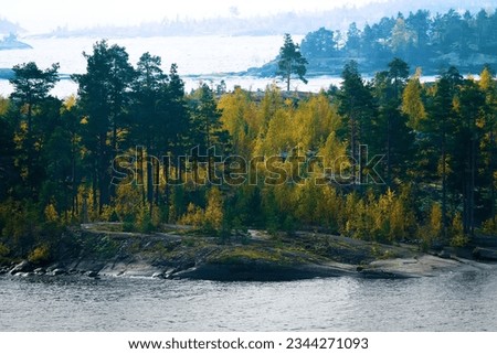 Baltic crystalline shield, esker. Glaciated landscape (glacial plaining). Stone cape, sheepback rock with small autumn birch, dwarf pines in North Ladoga lake (Ladoga skerries) Royalty-Free Stock Photo #2344271093
