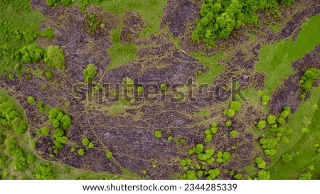 Aerial view of a burned field after illegal fire provoked intentionally to burn the unwanted weeds in order to plant new cultures Royalty-Free Stock Photo #2344285339