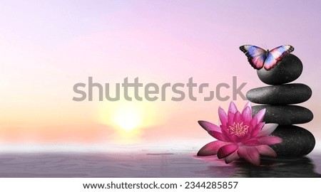 Peace and harmony. Stacked stones, lotus flower in water and beautiful butterfly. Banner design with space for text Royalty-Free Stock Photo #2344285857