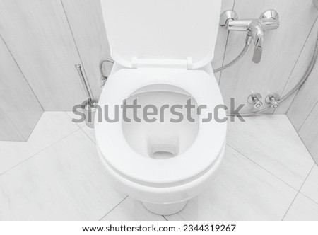 toilet bowl at domestic bathroom. Royalty-Free Stock Photo #2344319267