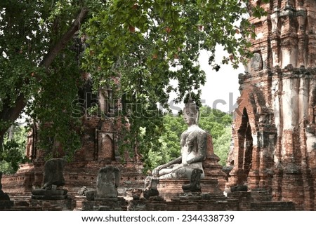 colored picture of Ayutthaya temple and stature