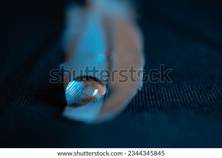 closeup photo of water drop on dove feather Royalty-Free Stock Photo #2344345845